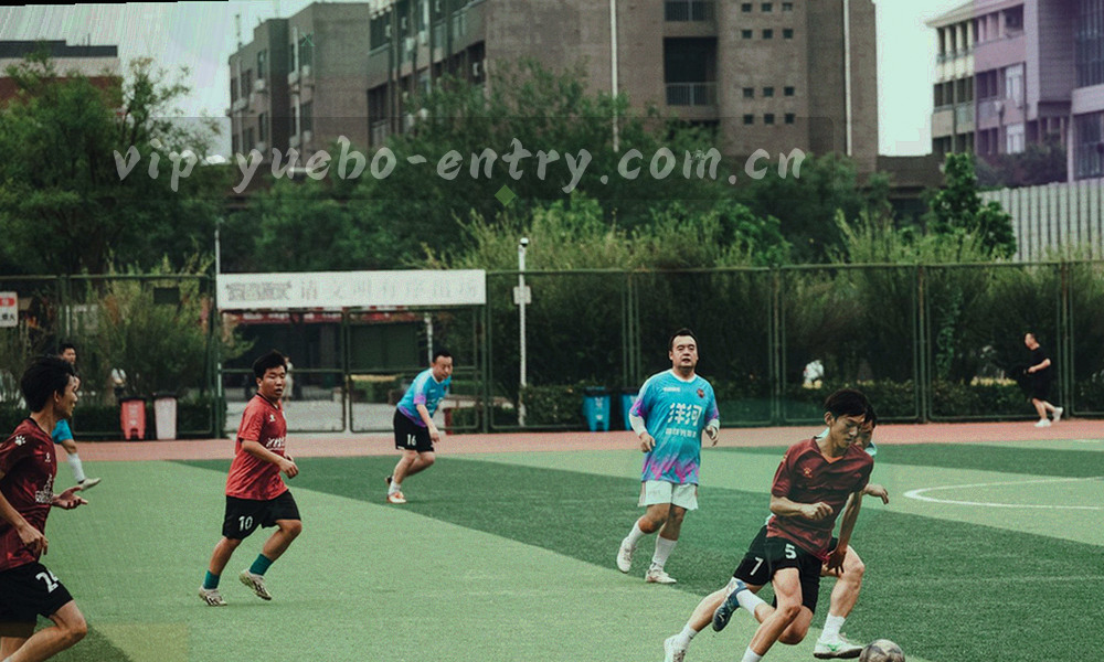 四组不同形状的柔和色块并排排布，分别代表订阅、下载、使用记录与账号安全四类问题